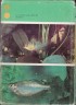 Akvarijní ryby, 1968