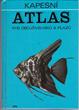 Kapesní atlas ryb obojživelníkù a plazù, 1981